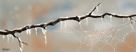 Winters Web